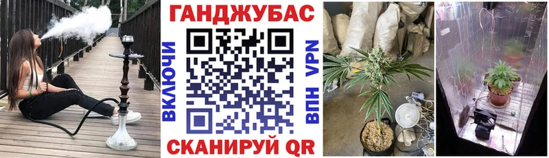Все наркотики Беслан Псилоцибиновые грибы Амфетамин