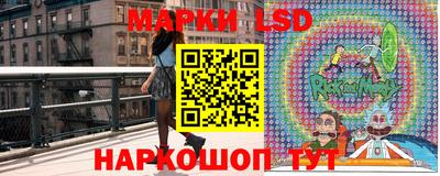 мяу мяу мука Беслан