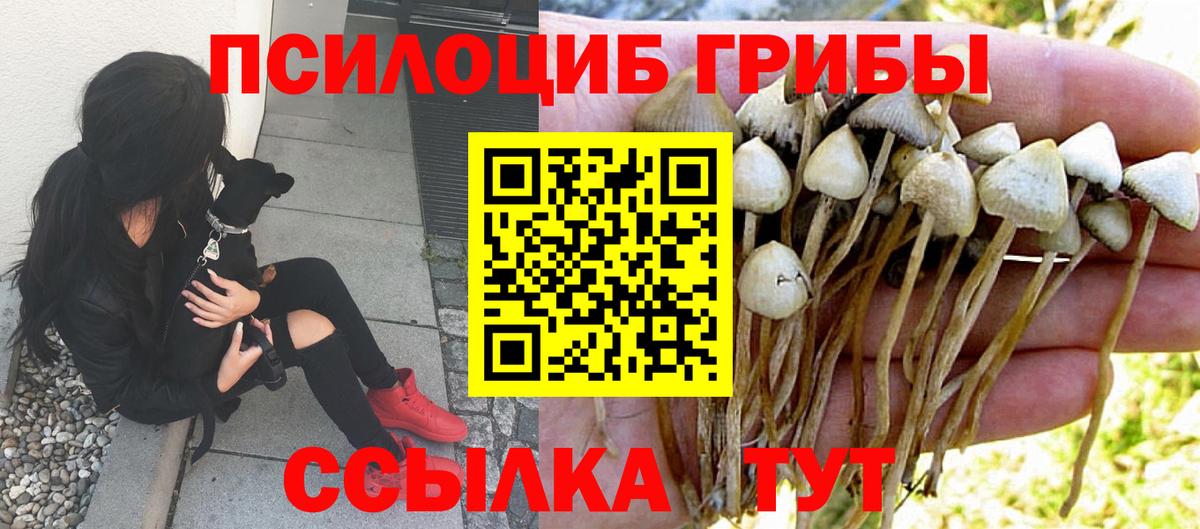 Галлюциногенные грибы Cubensis  как найти закладки  Беслан  Вход с VPN 
