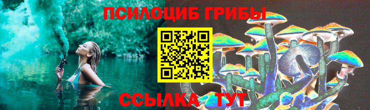 Беслан  Псилоцибиновые грибы Cubensis  Вход с VPN 